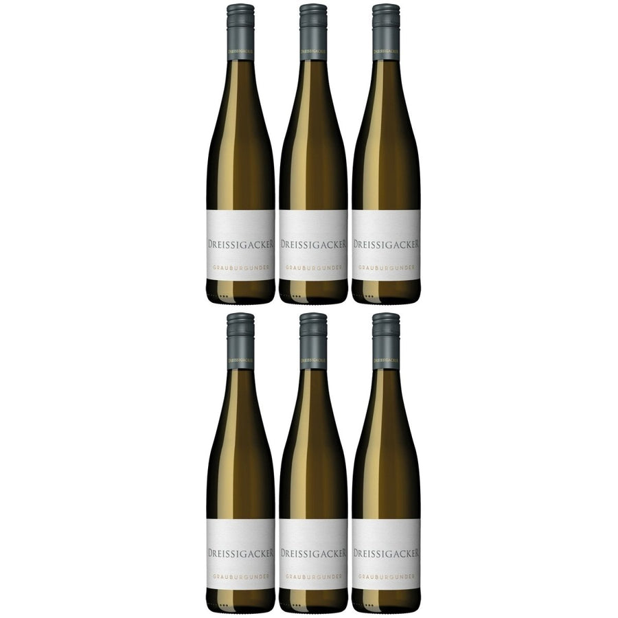 Dreissigacker Grauburgunder Bio Weißwein trocken Rheinhessen (6 x 0,75l) - Versanel -