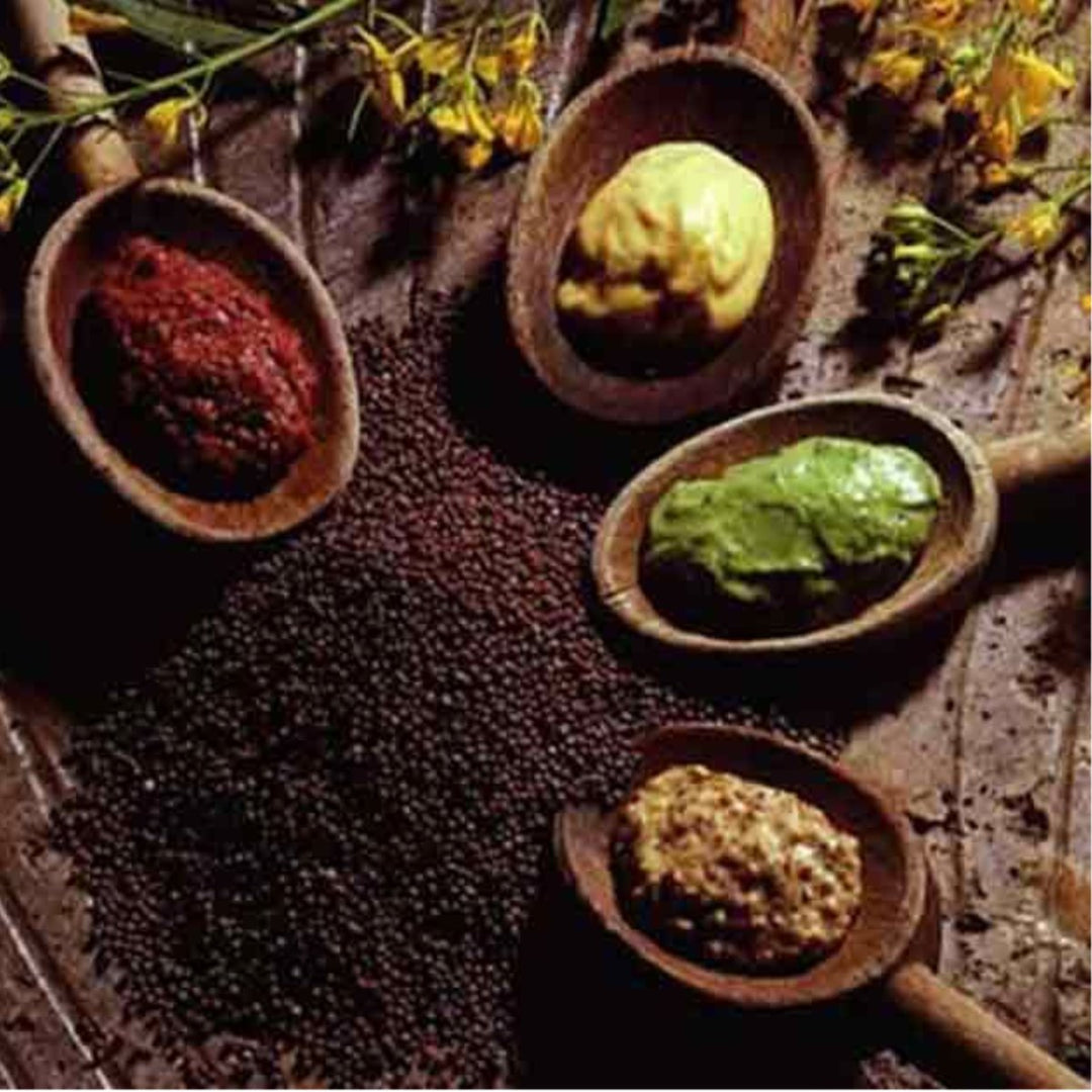 Edmond Fallot Moutarde aux noix Senf mit Walnuss Frankreich (3 x 105g) - Versanel -