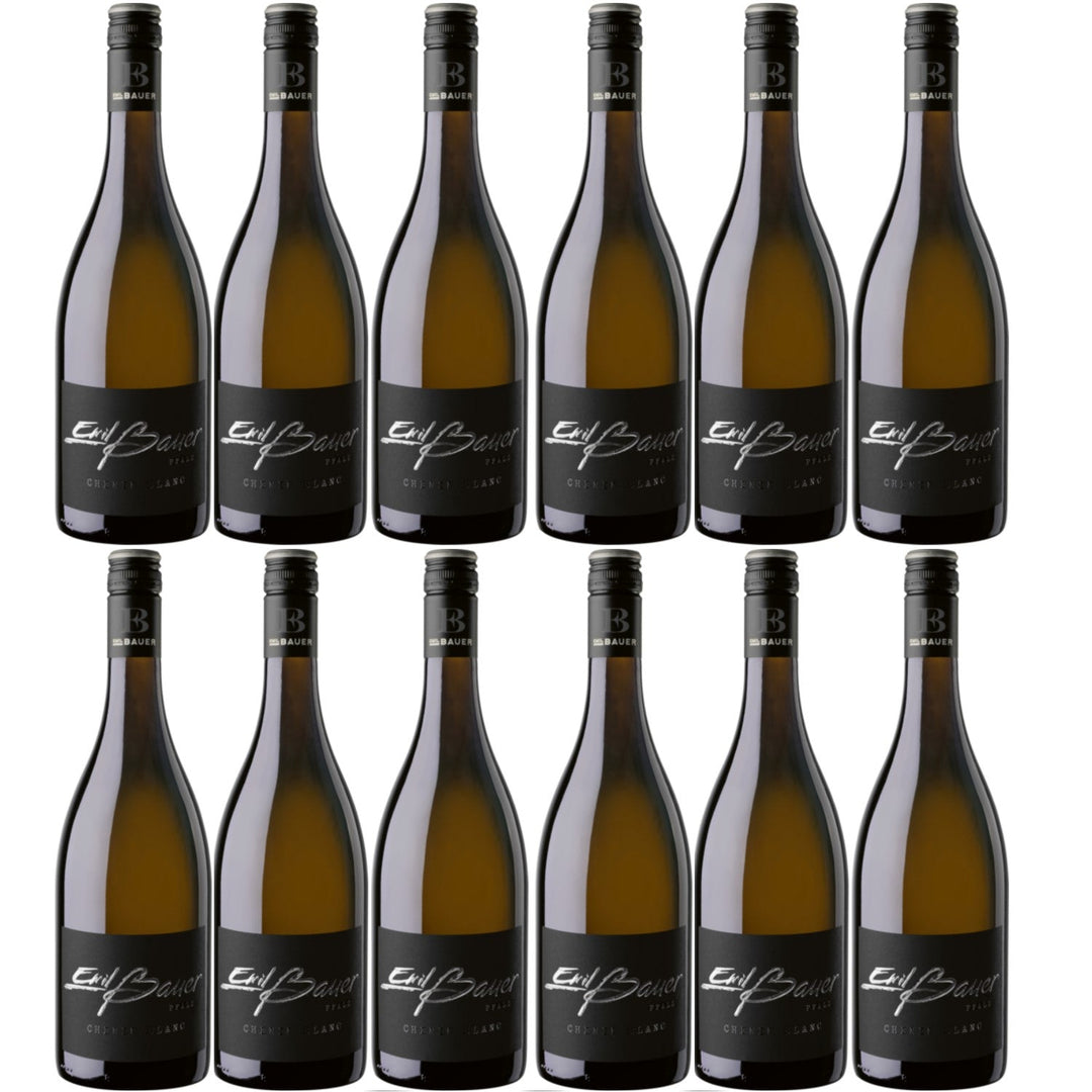 Emil Bauer Black Label Chenin Blanc QbA Weißwein Wein trocken Deutschland (12 x 0.75l) - Versanel -