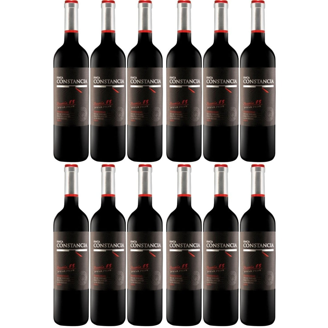 Finca Constancia Parcela 23 Tempranillo Rotwein Wein trocken Spanien (12 x 0,75l) - Versanel -