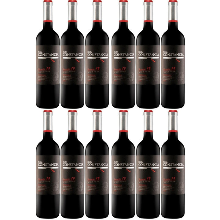 Finca Constancia Parcela 23 Tempranillo Rotwein Wein trocken Spanien (12 x 0,75l) - Versanel -
