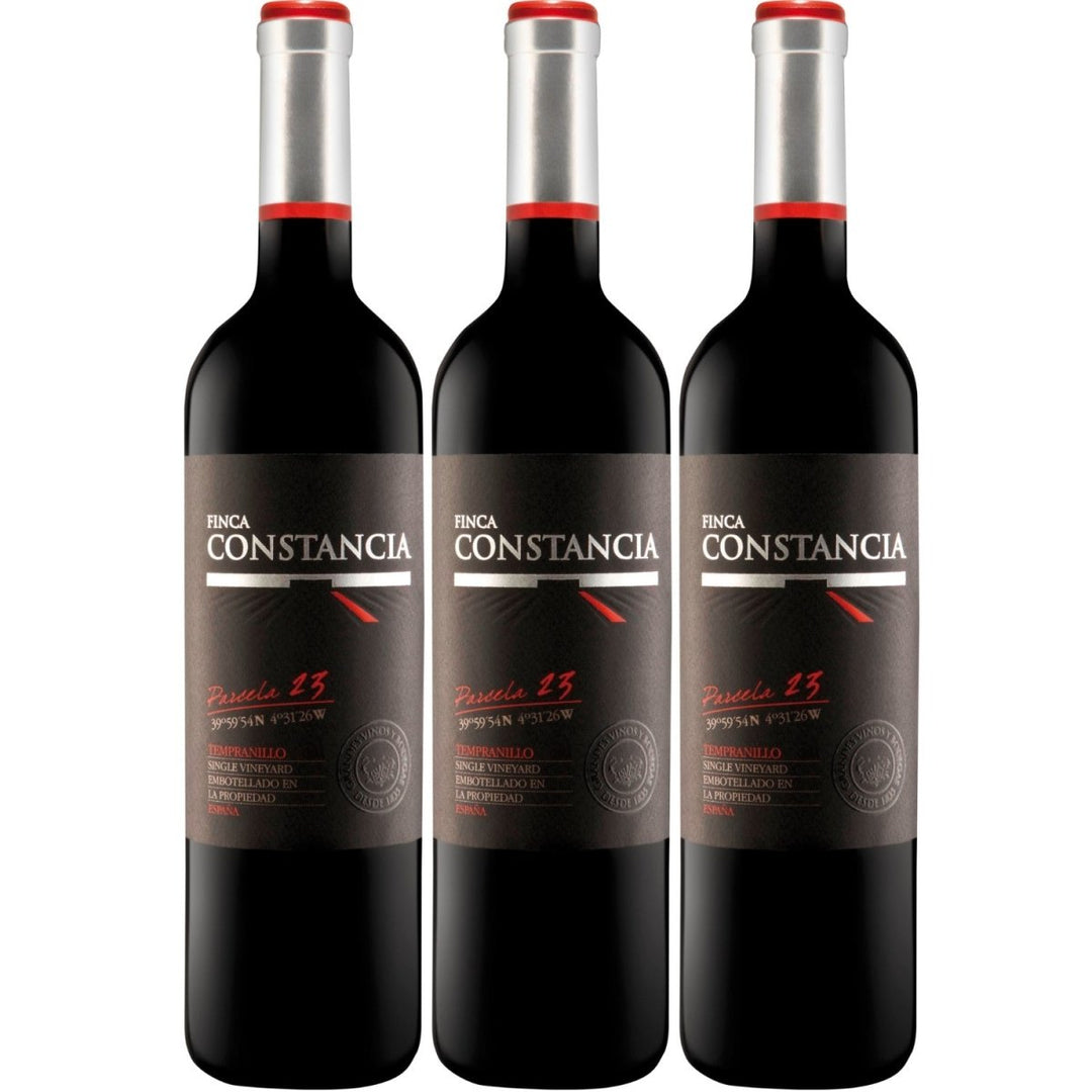 Finca Constancia Parcela 23 Tempranillo Rotwein Wein trocken Spanien (3 x 0,75l) - Versanel -