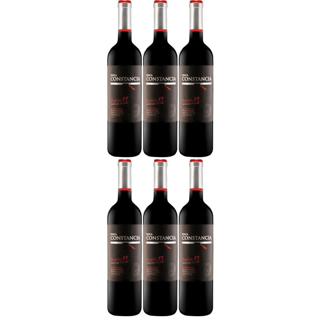 Finca Constancia Parcela 23 Tempranillo Rotwein Wein trocken Spanien (6 x 0,75l) - Versanel -