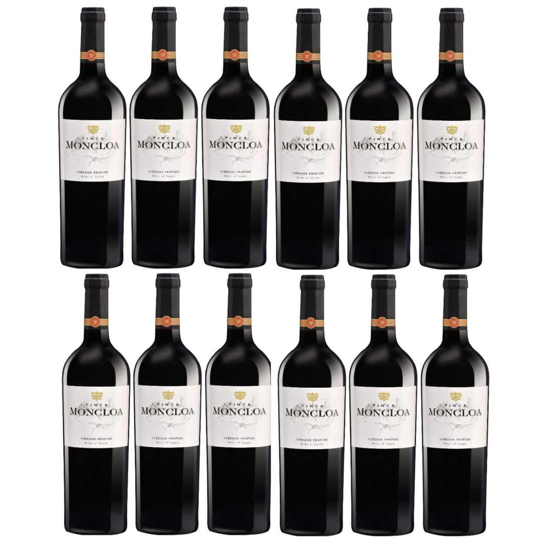 Finca Moncloa Syrah Cabernet Rotwein Wein trocken Spanien (12 x 0,75l) - Versanel -