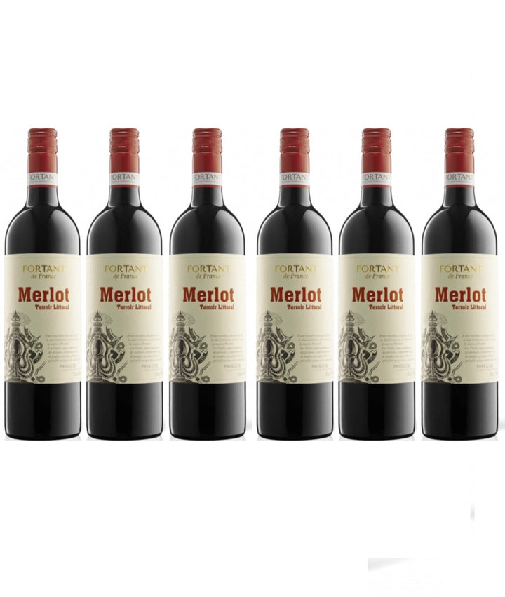 Fortant de France Merlot Terroir Littoral IGP Rotwein Wein trocken Frankreich (6 x 0.75l) - Versanel -
