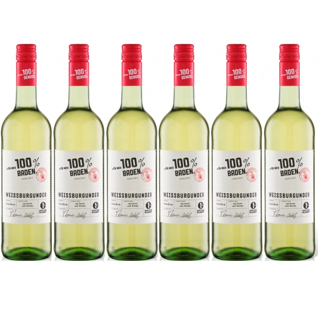 Für mich 100% Baden Weißburgunder Weißwein Wein Trocken (6 x 0.75l) - Versanel -