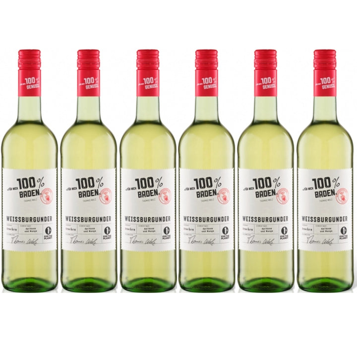 Für mich 100% Baden Weißburgunder Weißwein Wein Trocken (6 x 0.75l) - Versanel -