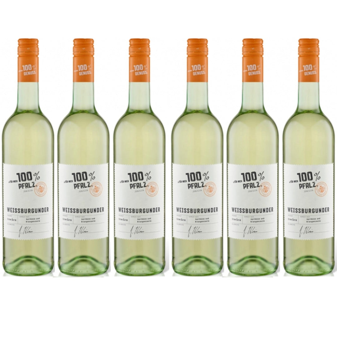 Für mich 100% Pfalz Weißburgunder Weißwein Wein Trocken (6 x 0.75l) - Versanel -