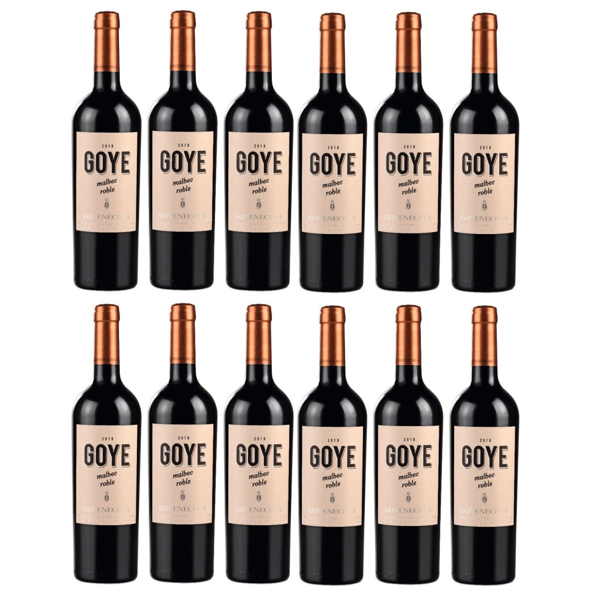 Goyenechea Malbec GOYE Rotwein Wein trocken Argentinien I FeinWert Paket (12 x 0,75l) - Versanel -