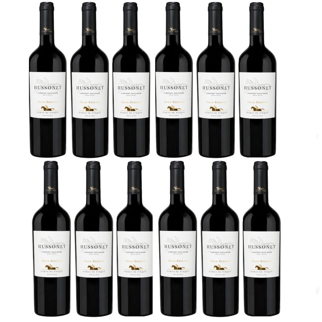 Haras de Pirque Hussonet Cabernet Sauvignon Gran Reserva Bio Rotwein Wein Trocken Chile (12 x 0,75l) - Versanel -
