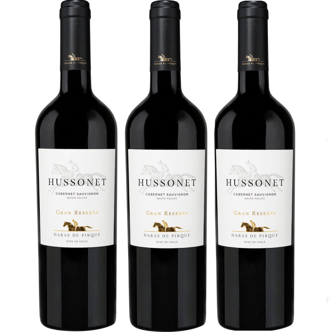 Haras de Pirque Hussonet Cabernet Sauvignon Gran Reserva Bio Rotwein Wein Trocken Chile (3 x 0,75l) - Versanel -