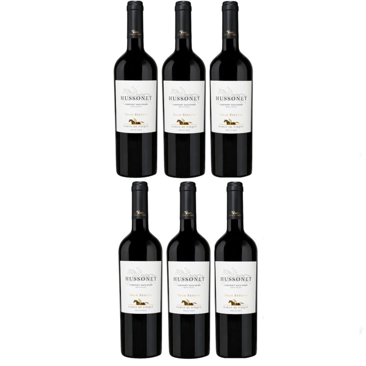 Haras de Pirque Hussonet Cabernet Sauvignon Gran Reserva Bio Rotwein Wein Trocken Chile (6 x 0,75l) - Versanel -