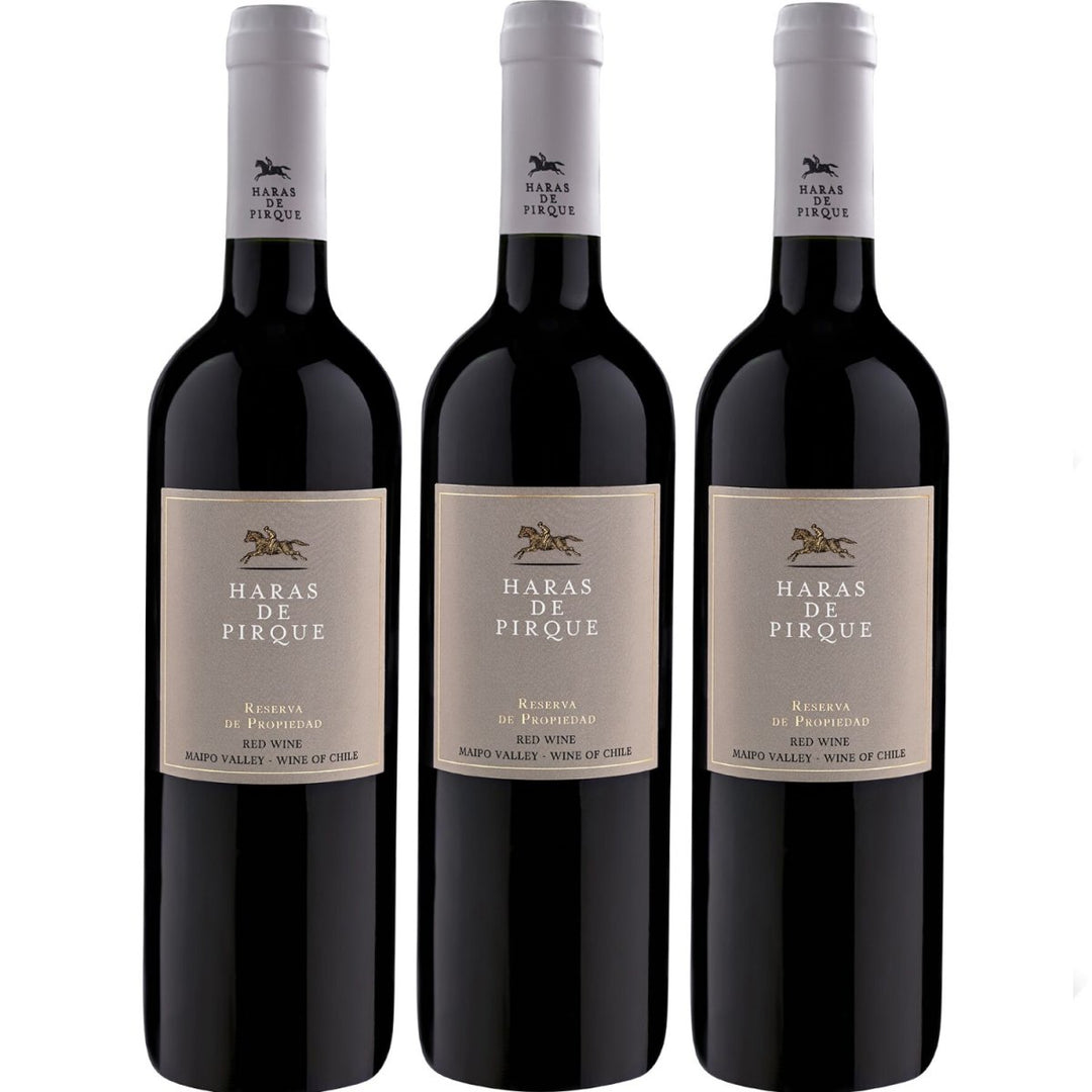 Haras de Pirque Reserva de Propiedad Bio Rotwein Wein Trocken Chile (3 x 0,75l) - Versanel -