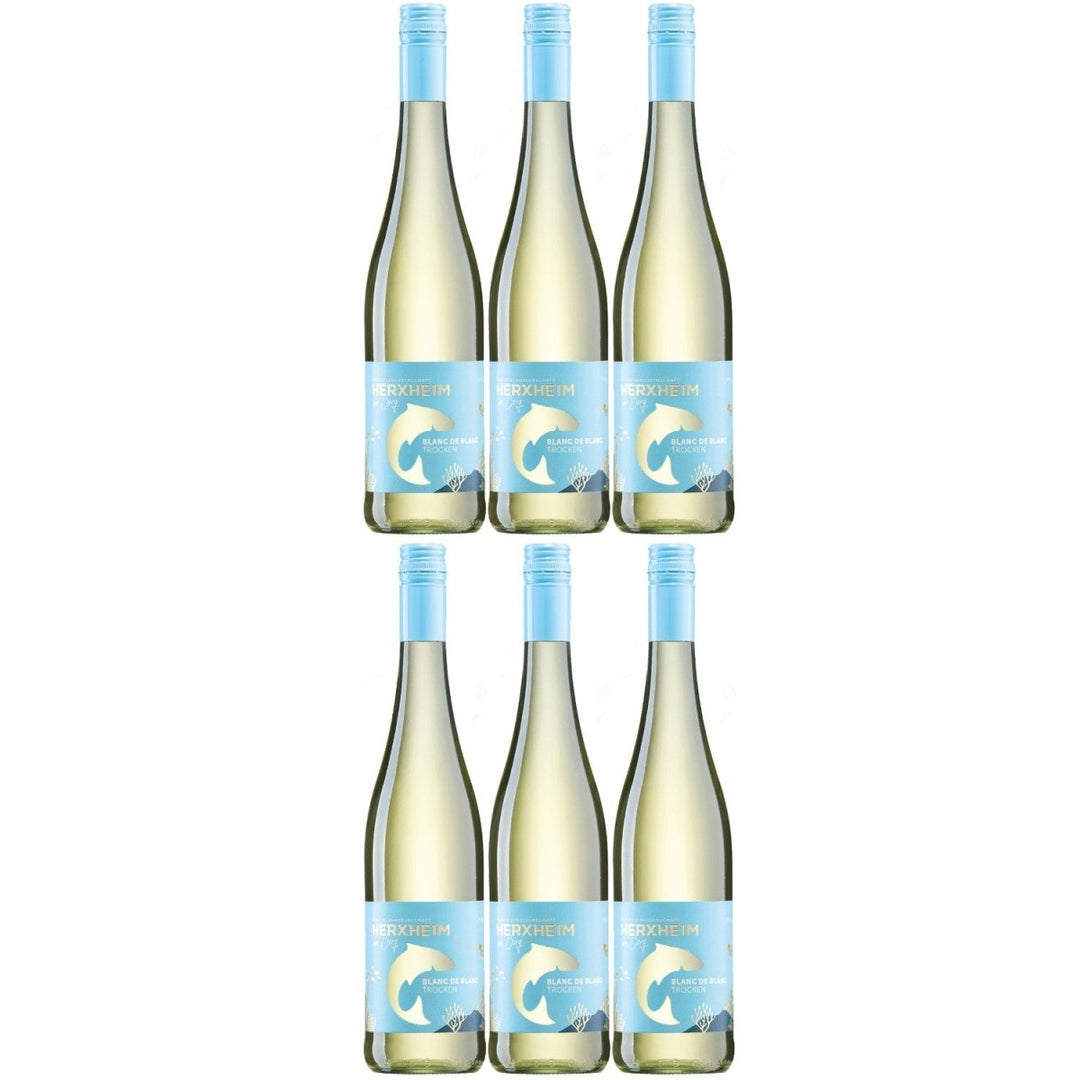 Herxheim Blanc de Blanc Weißwein Cuvée Wein trocken Deutschland (6 x 0,75l) - Versanel -