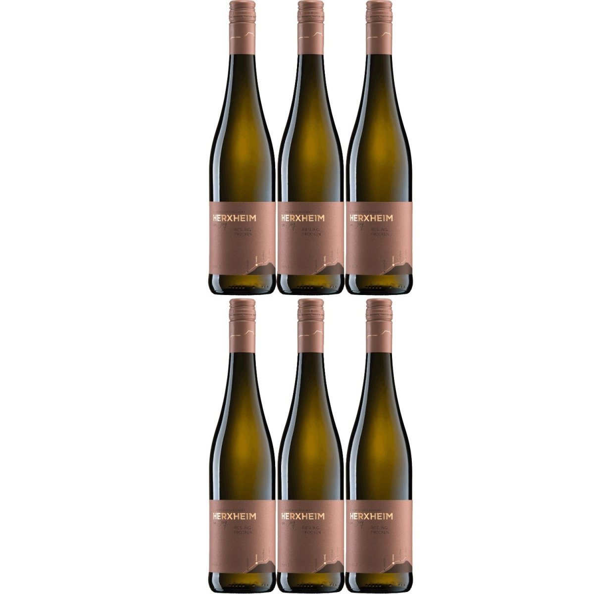 Herxheim Riesling QbA Weißwein Wein trocken Deutschland I FeinWert Paket (6 x 0,75l) - Versanel -