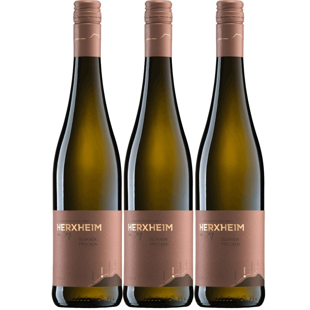 Herxheim Silvaner QbA Weißwein Wein trocken Deutschland I FeinWert Paket (3 x 0,75l) - Versanel -