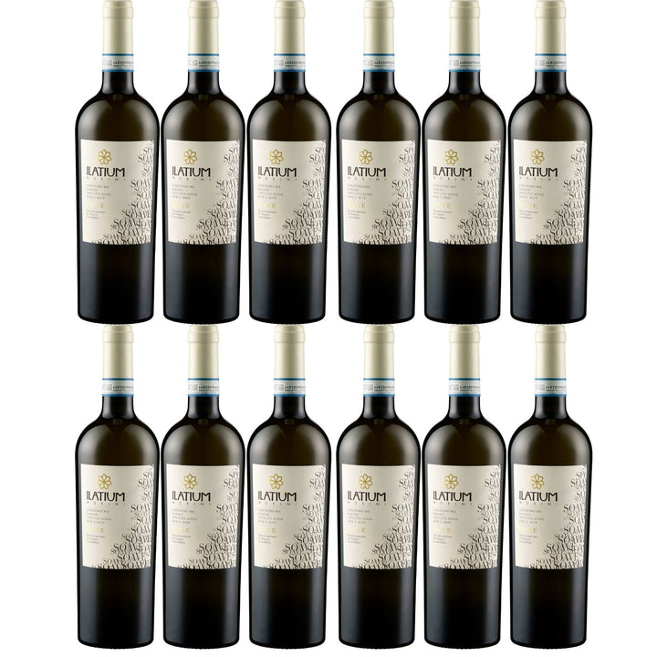 ILatium Morini Soave Weißwein Wein Trocken DOP Italien I Visando Paket (12 x 0,75l) - Versanel -