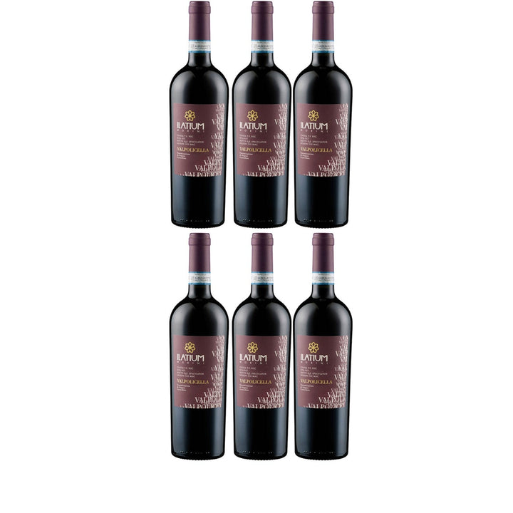 ILatium Morini Valpolicella DOC Rotwein Wein Trocken Italien I Visando Paket (6 x 0,75l) - Versanel -