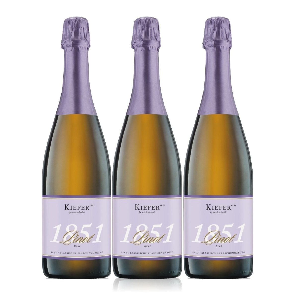 Kiefer Pinot Sekt/Brut 1851 Schaumwein Weißwein Deutschland ( 3 x 0,75l ) - Versanel -