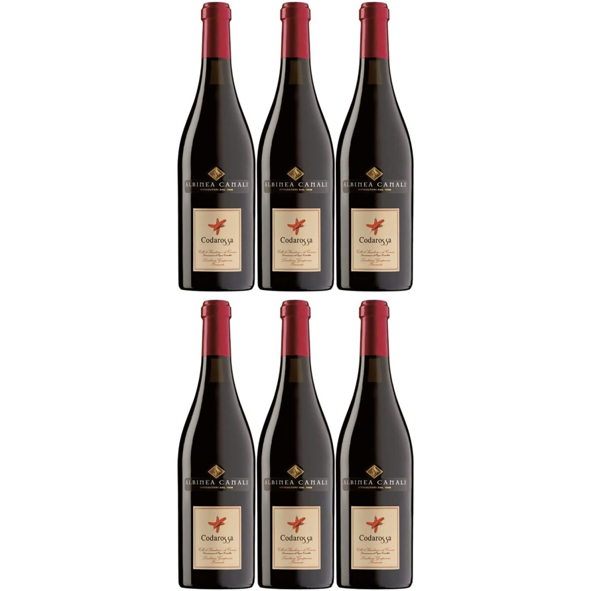 Lambrusco Grasparossa DOC Codarossa Rotwein Wein lieblich Italien (6 x 0,75l) - Versanel -