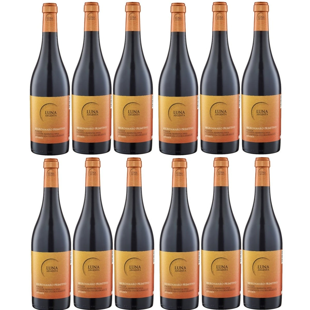 Luna Argenta Negroamaro Primitivo Appassite IGT Rotwein Wein halbtrocken Italien (12 x 0.75l) - Versanel -