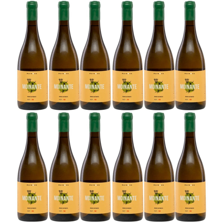 Mainova Moinante Branco Curtimenta Weißwein Wein trocken vegan Portugal (12 Flaschen) - Versanel -