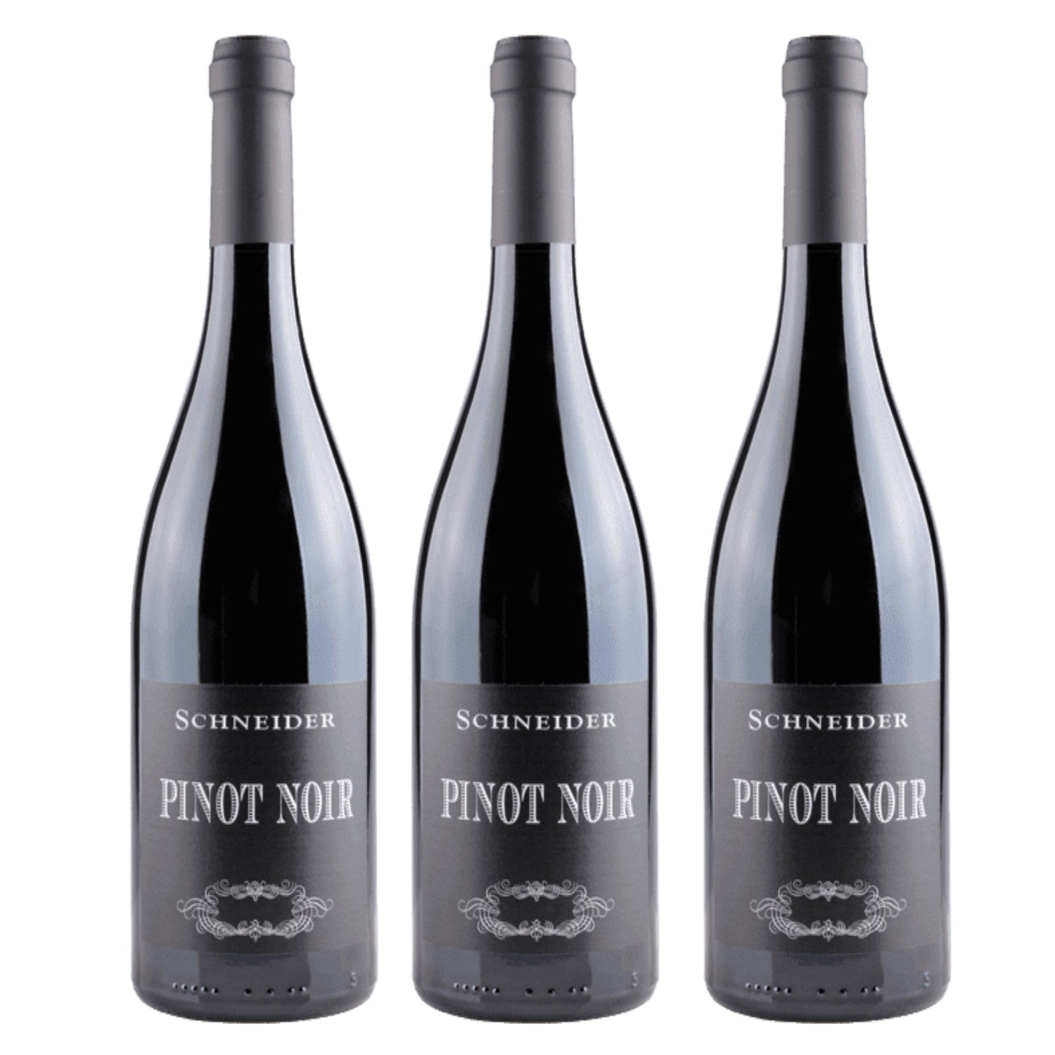 Markus Schneider Pinot Noir Spätburgunder Rotwein deutscher Wein trocken Pfalz (3 x 0.75l) - Versanel -