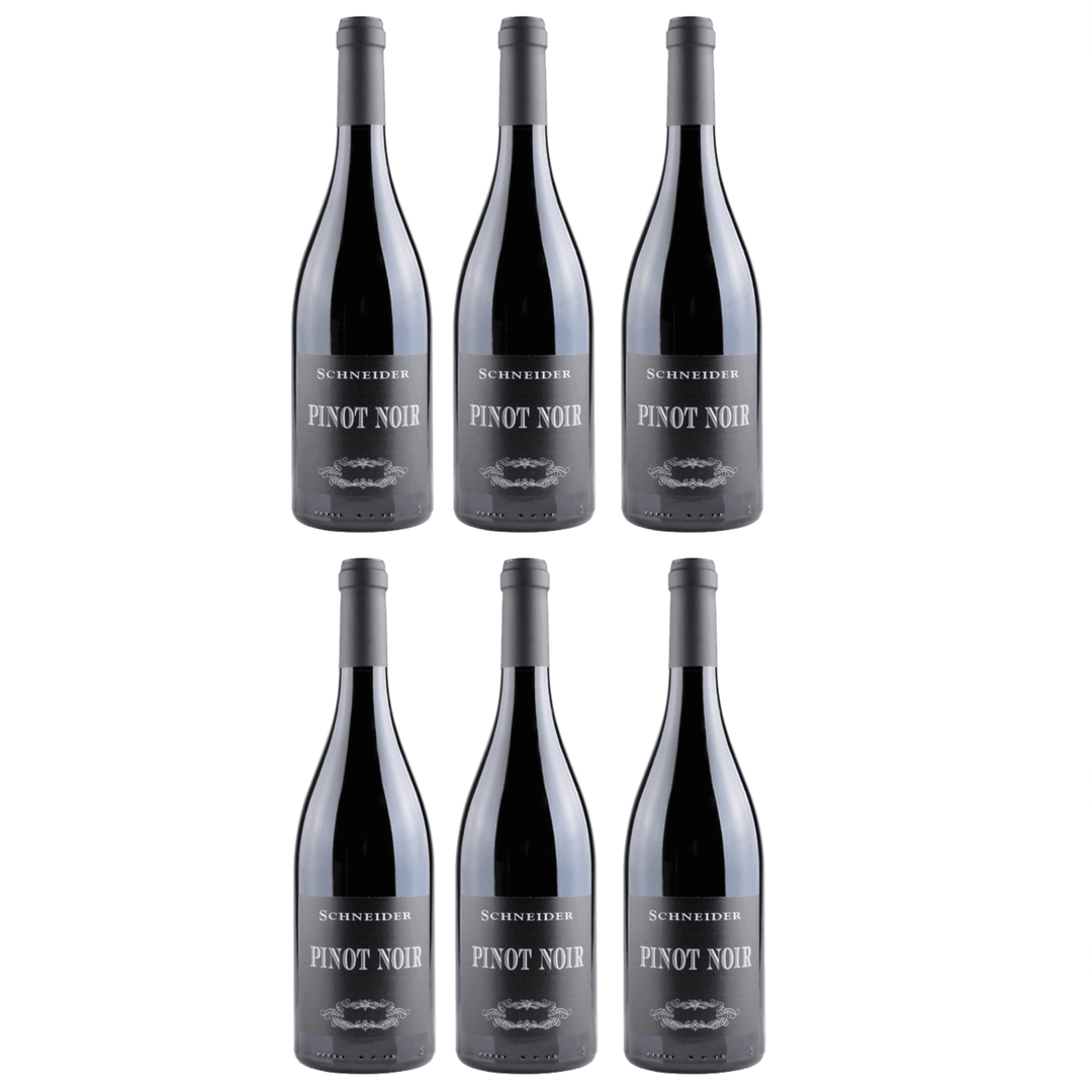 Markus Schneider Pinot Noir Spätburgunder Rotwein deutscher Wein trocken Pfalz (6 x 0.75l) - Versanel -