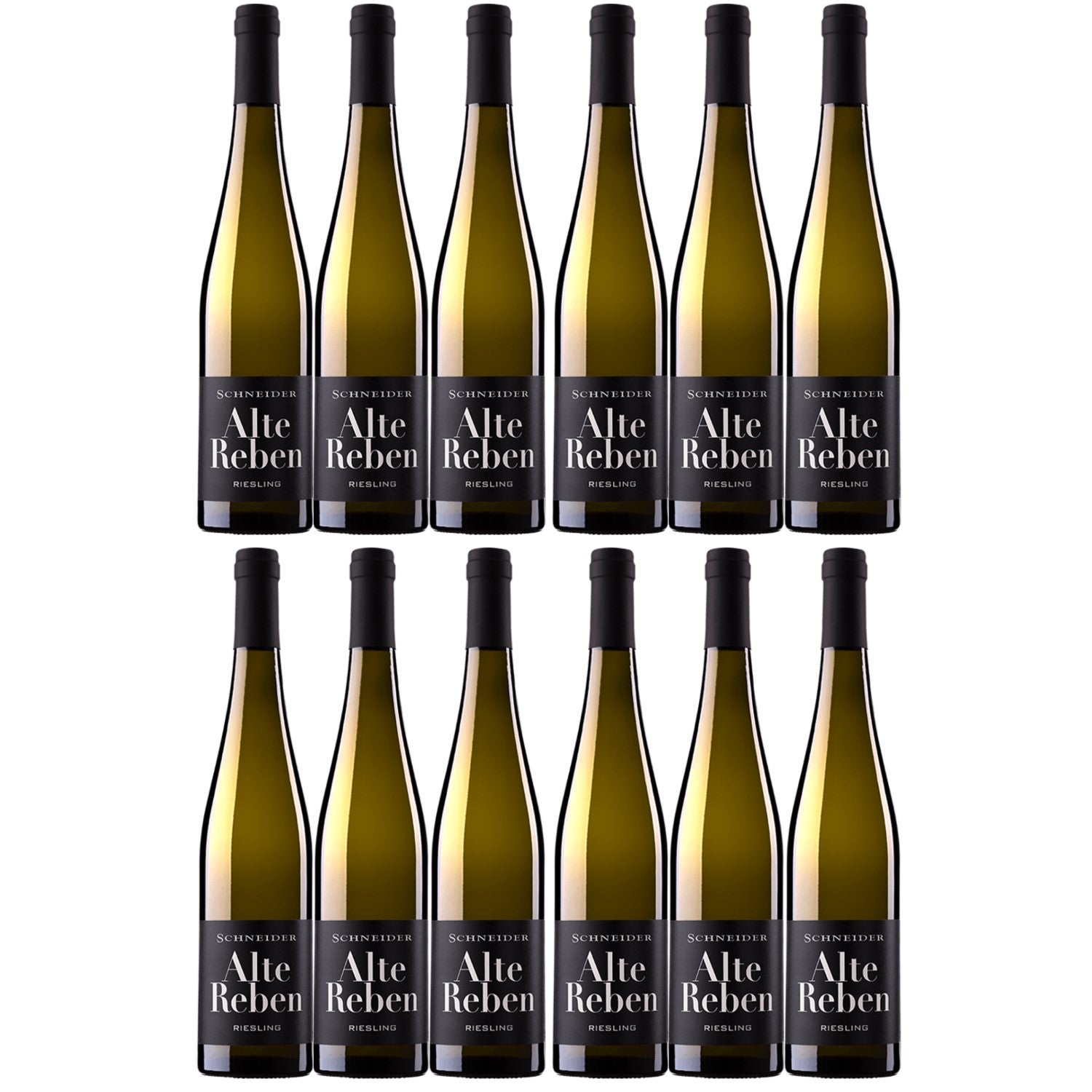 Markus Schneider Riesling Alte Reben Weißwein Wein Pfalz trocken (12 x 0.75l) - Versanel -