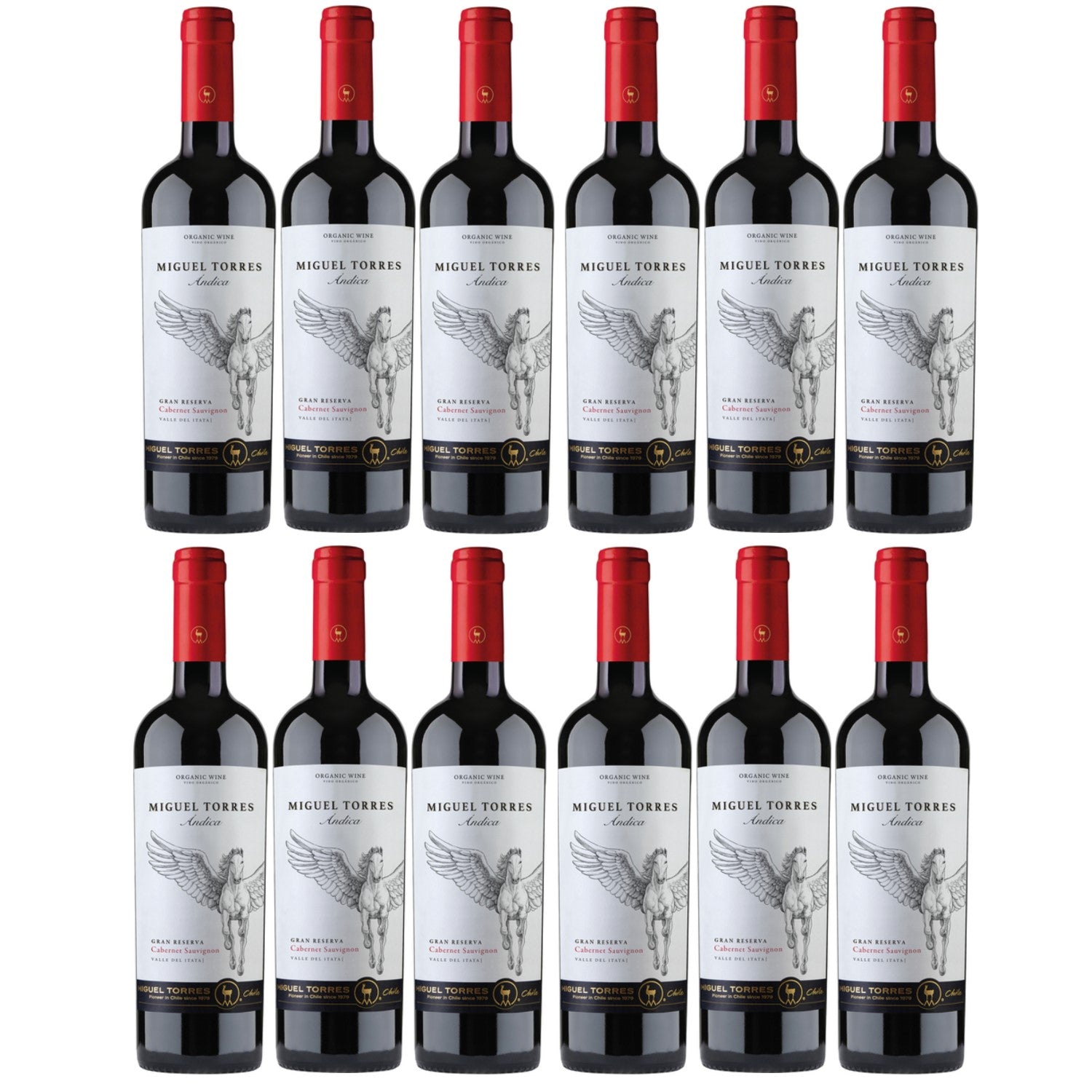 Miguel Torres Andica Cabernet Sauvignon Gran Reserva Rotwein Wein Trocken Chile (12 x 0.75l) - Versanel -