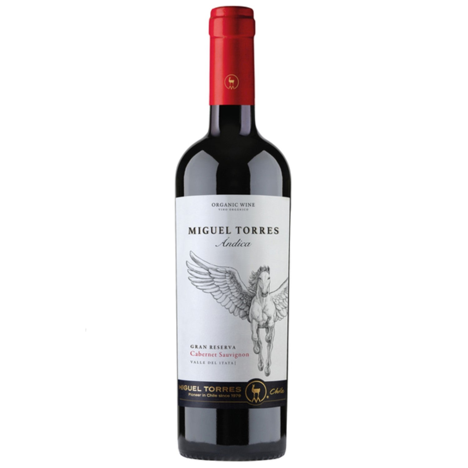 Miguel Torres Andica Cabernet Sauvignon Gran Reserva Rotwein Wein Trocken Chile (3 x 0.75l) - Versanel -