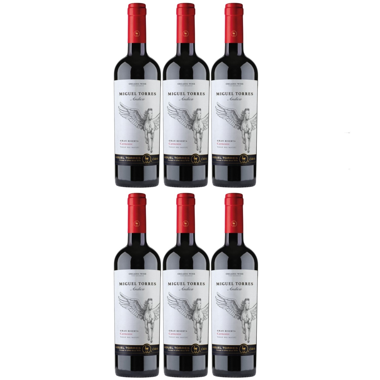 Miguel Torres Andica Carmenere Gran Reserva Rotwein Wein Trocken Chile (6 x 0.75l) - Versanel -