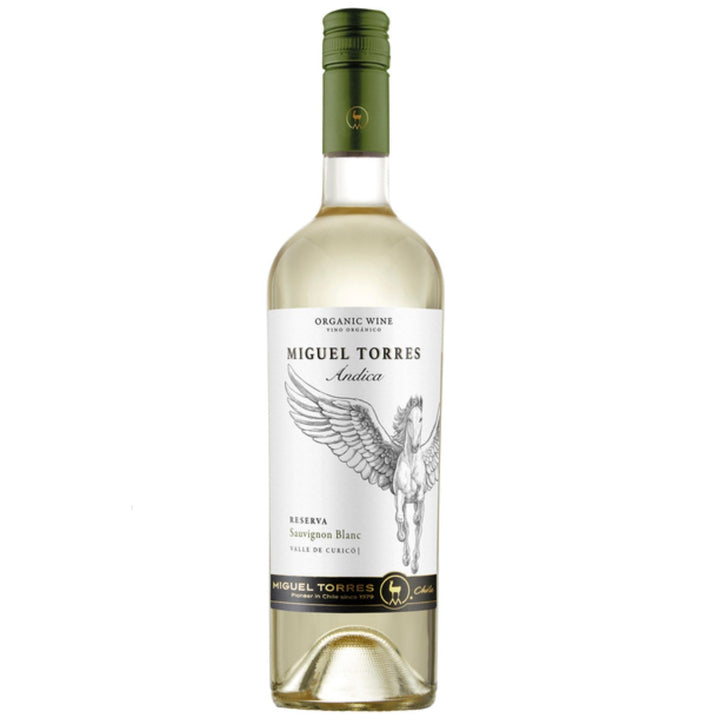 Miguel Torres Andica Sauvignon Blanc Reserva Weißwein Wein Trocken Chile (12 x 0.75l) - Versanel -