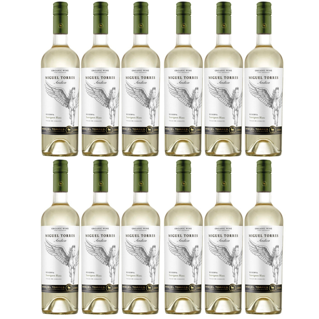 Miguel Torres Andica Sauvignon Blanc Reserva Weißwein Wein Trocken Chile (12 x 0.75l) - Versanel -