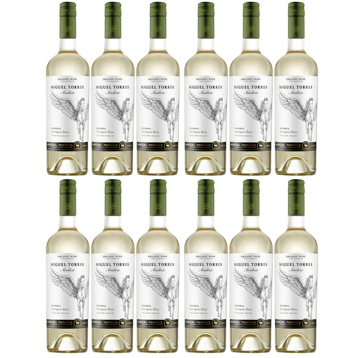Miguel Torres Andica Sauvignon Blanc Reserva Weißwein Wein Trocken Chile (12 x 0.75l) - Versanel -