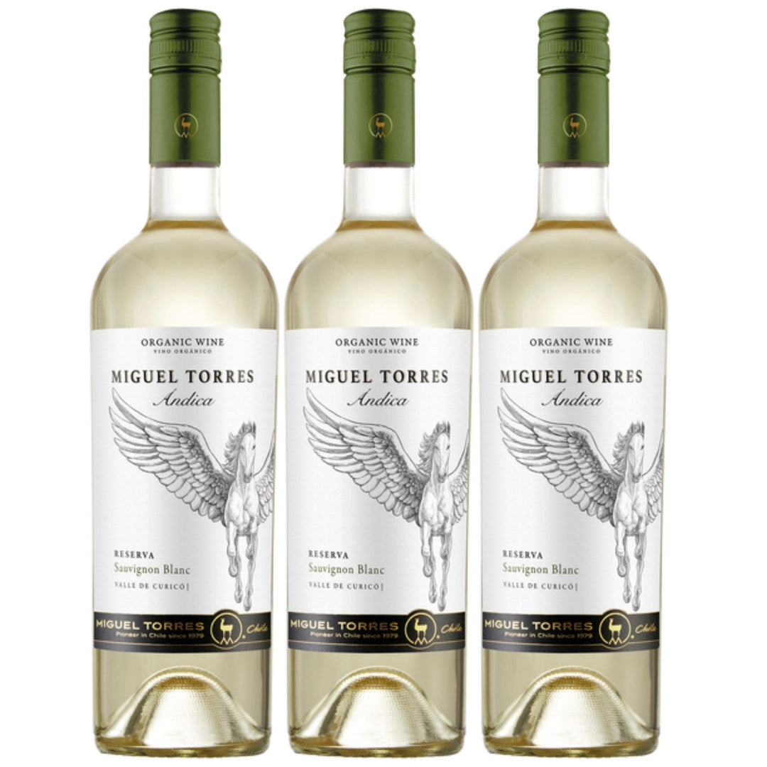 Miguel Torres Andica Sauvignon Blanc Reserva Weißwein Wein Trocken Chile (3 x 0.75l) - Versanel -