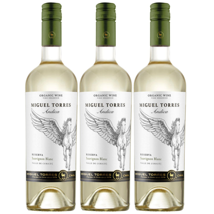 Miguel Torres Andica Sauvignon Blanc Reserva Weißwein Wein Trocken Chile (3 x 0.75l) - Versanel -