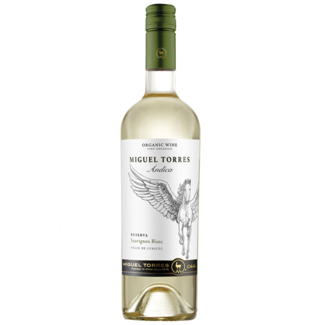 Miguel Torres Andica Sauvignon Blanc Reserva Weißwein Wein Trocken Chile (3 x 0.75l) - Versanel -