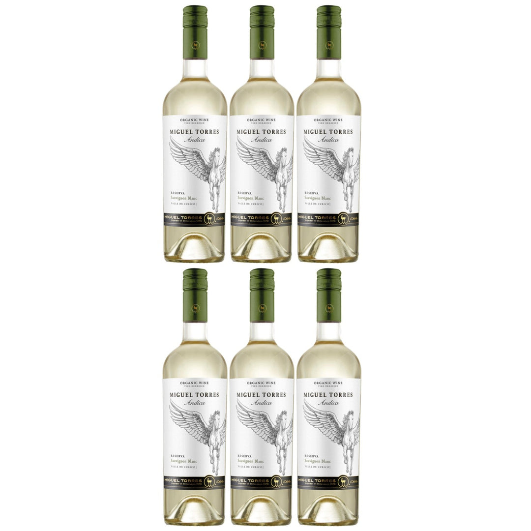 Miguel Torres Andica Sauvignon Blanc Reserva Weißwein Wein Trocken Chile (6 x 0.75l) - Versanel -