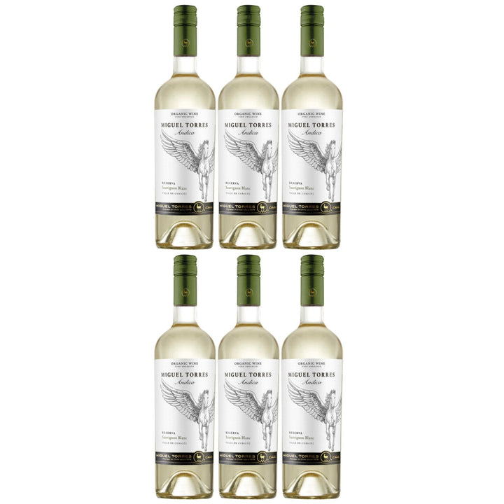 Miguel Torres Andica Sauvignon Blanc Reserva Weißwein Wein Trocken Chile (6 x 0.75l) - Versanel -