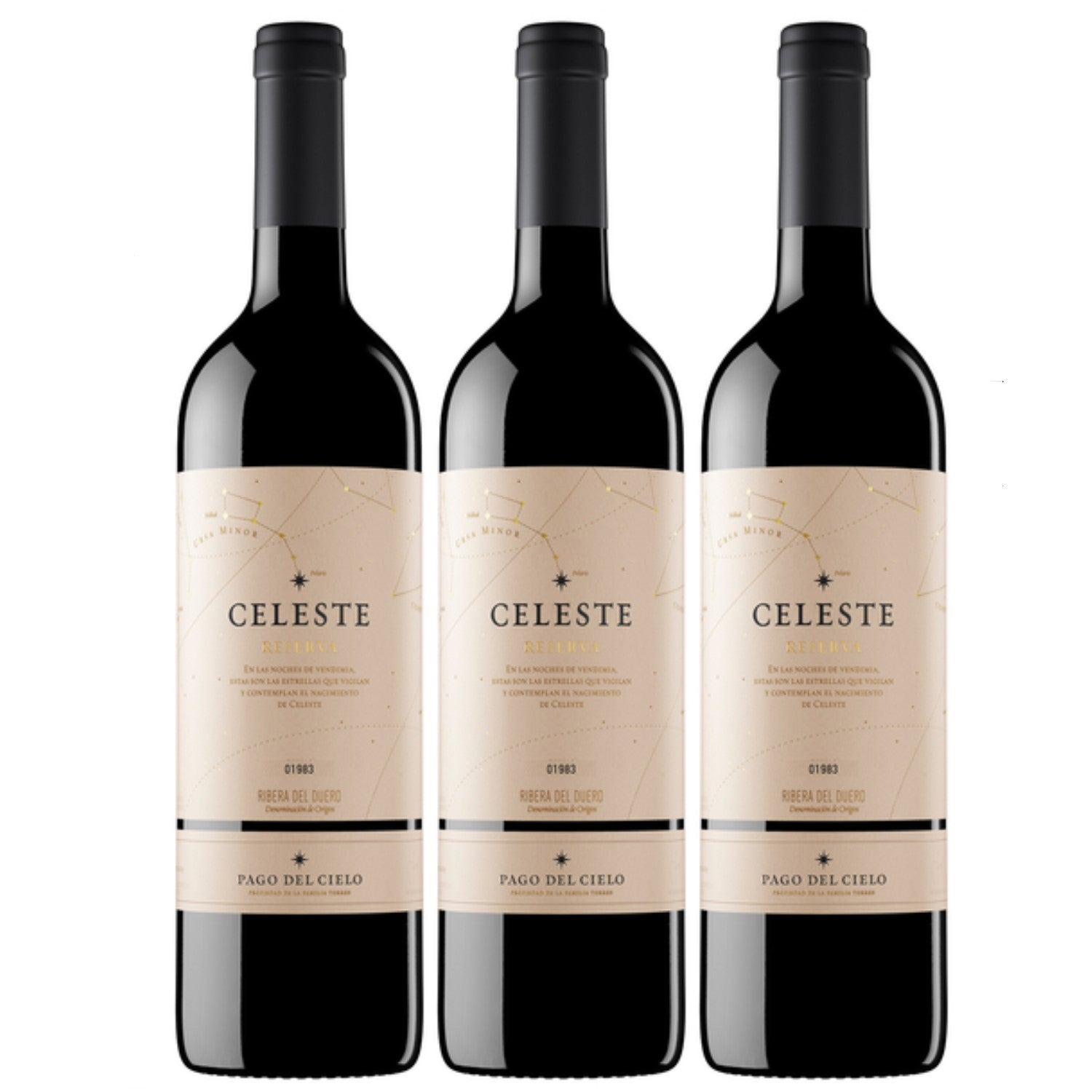 Miguel Torres Celeste Tempranillo Reserva D.O. Rotwein Cuvée Wein Trocken Spanien (3 x 0.75l) - Versanel -