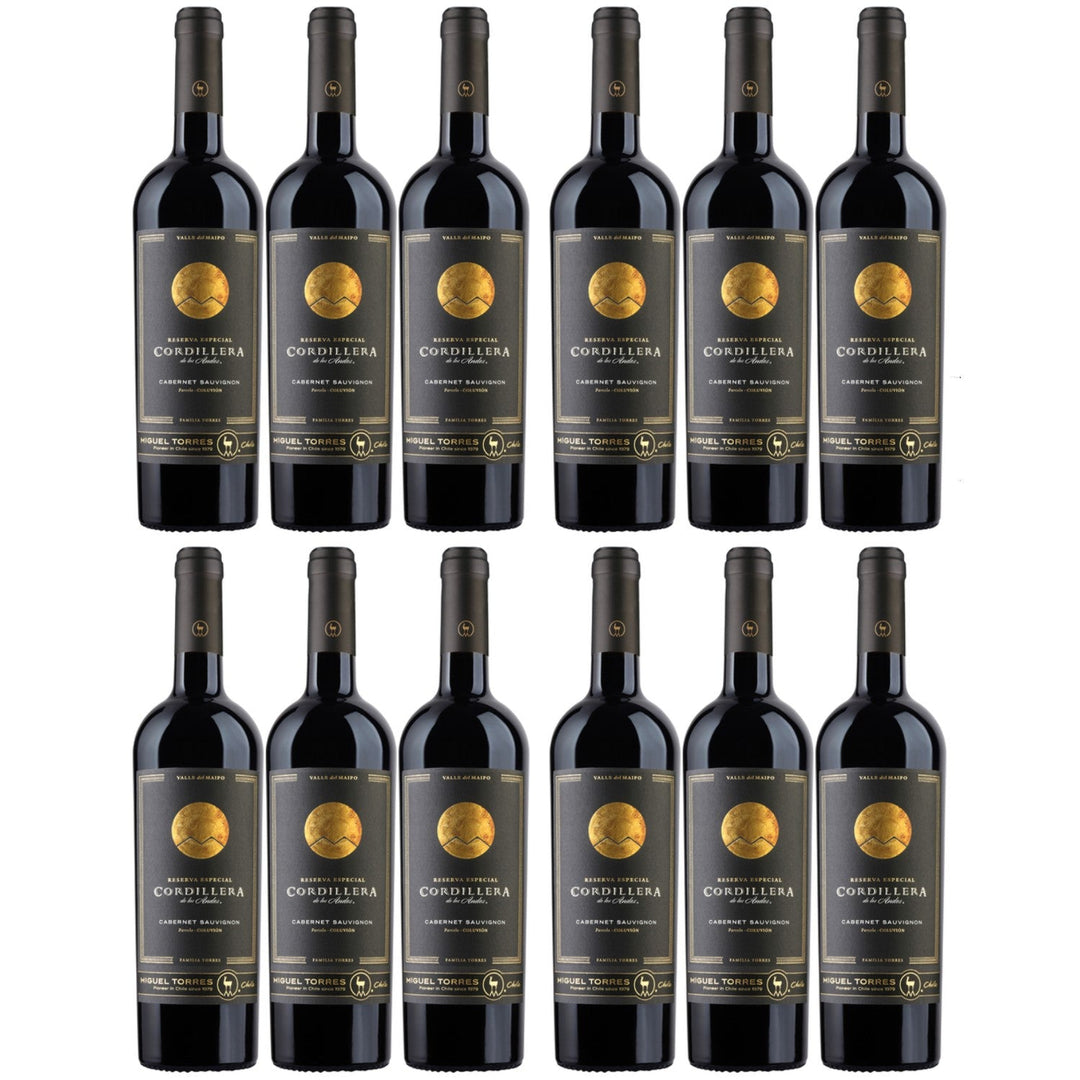 Miguel Torres Cordillera Cabernet Sauvignon Maipo Valley Rotwein Wein Trocken Chile (12 x 0.75l) - Versanel -