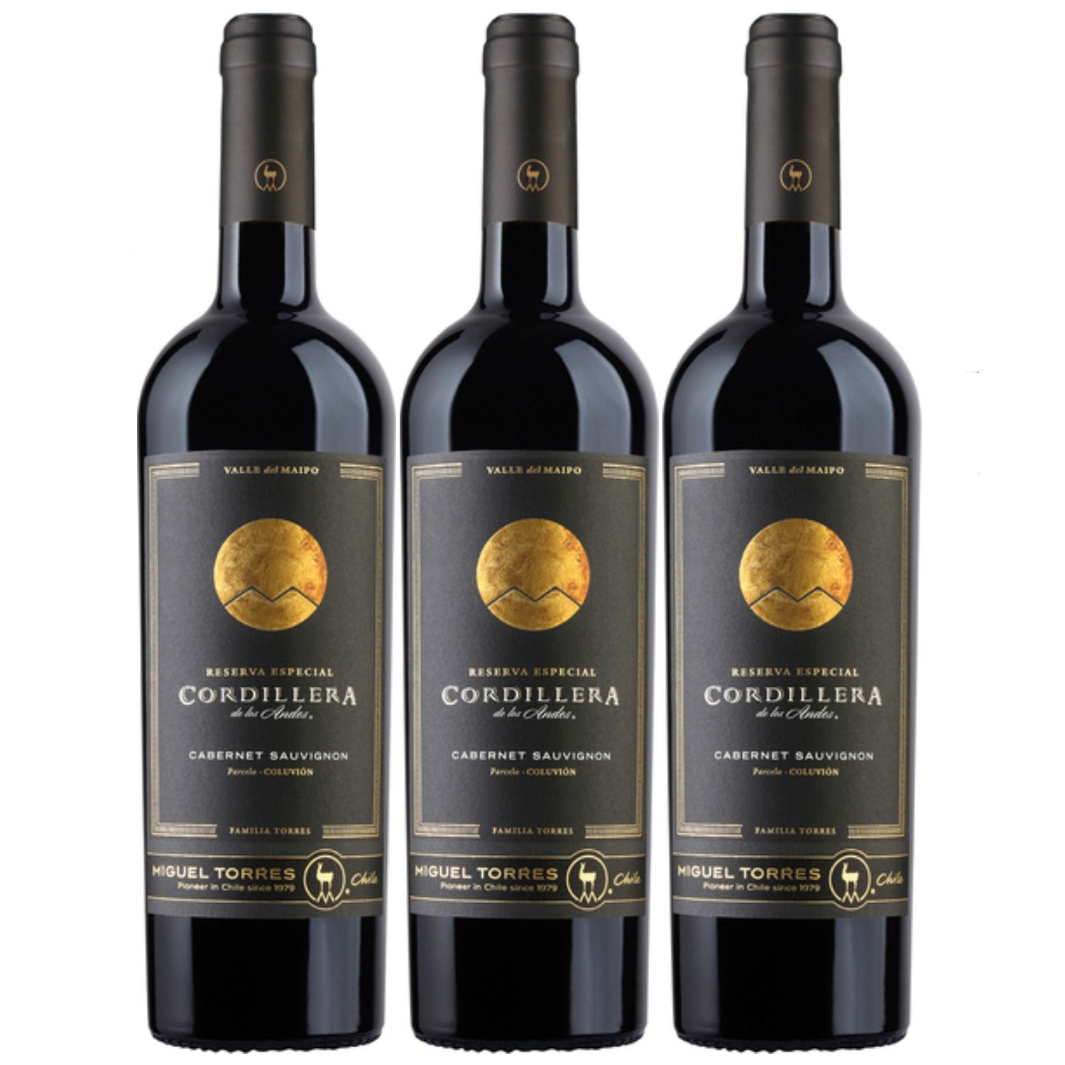 Miguel Torres Cordillera Cabernet Sauvignon Maipo Valley Rotwein Wein Trocken Chile (3 x 0.75l) - Versanel -