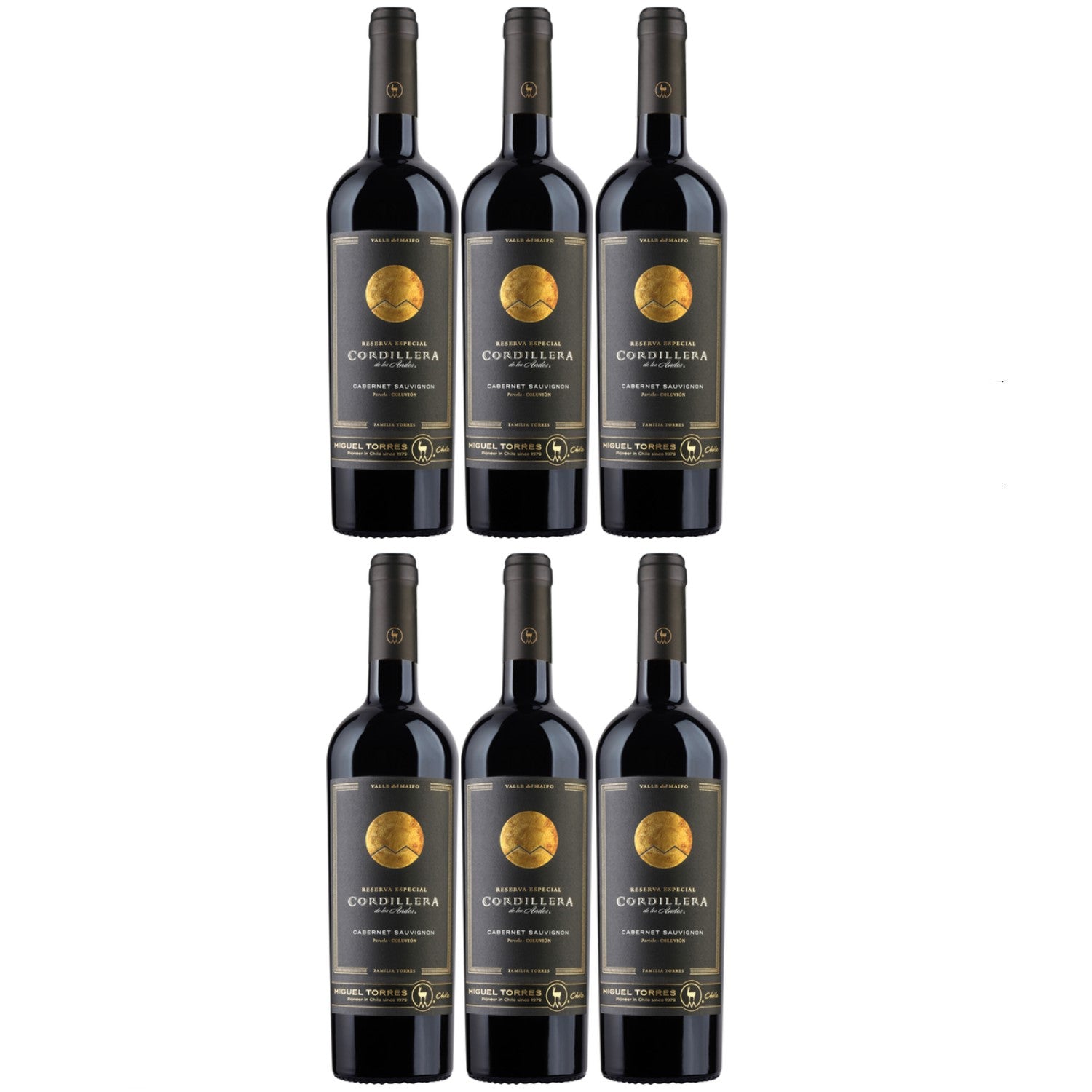 Miguel Torres Cordillera Cabernet Sauvignon Maipo Valley Rotwein Wein Trocken Chile (6 x 0.75l) - Versanel -