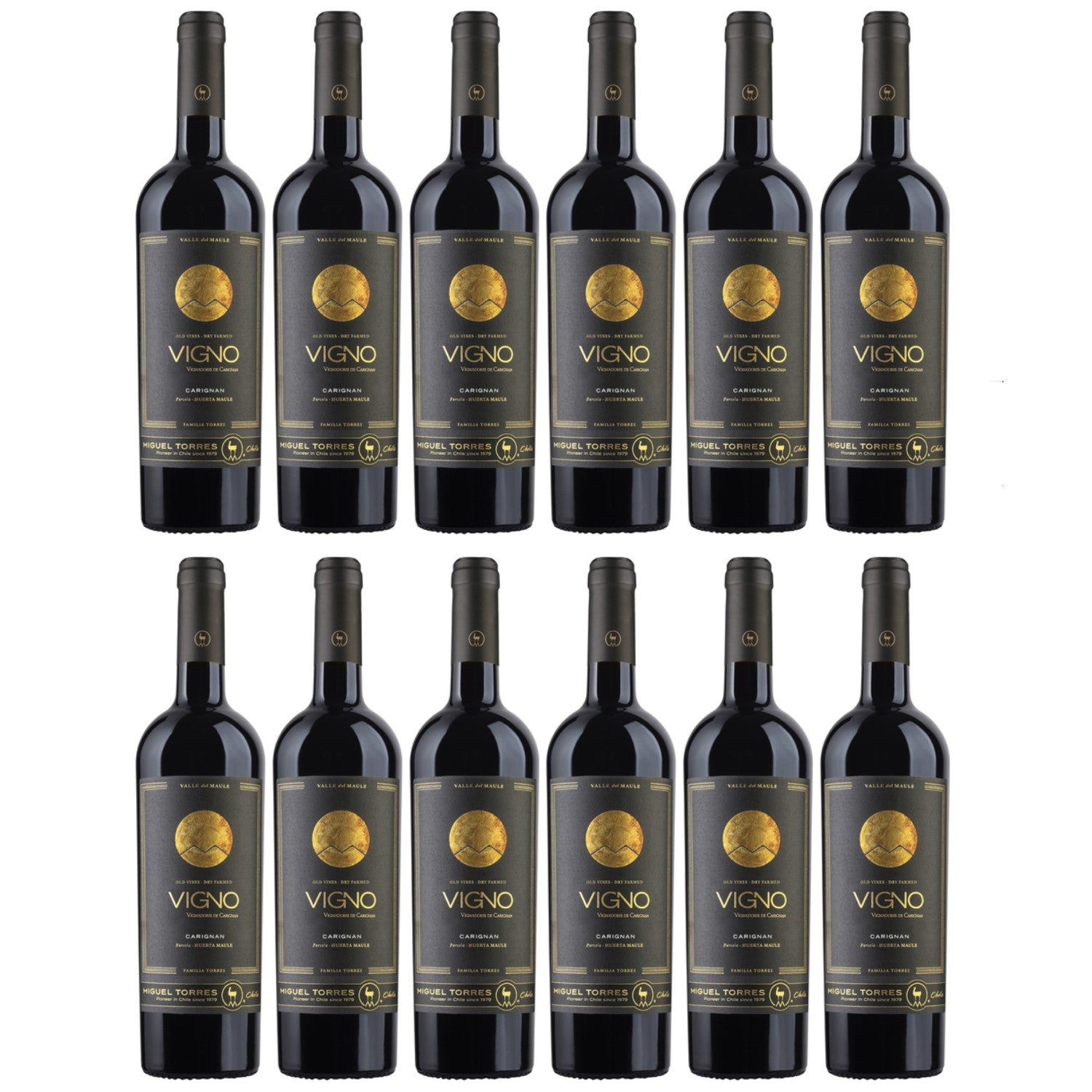 Miguel Torres Cordillera Carignan Maule Valley Rotwein Wein Trocken Chile (12 x 0.75l) - Versanel -