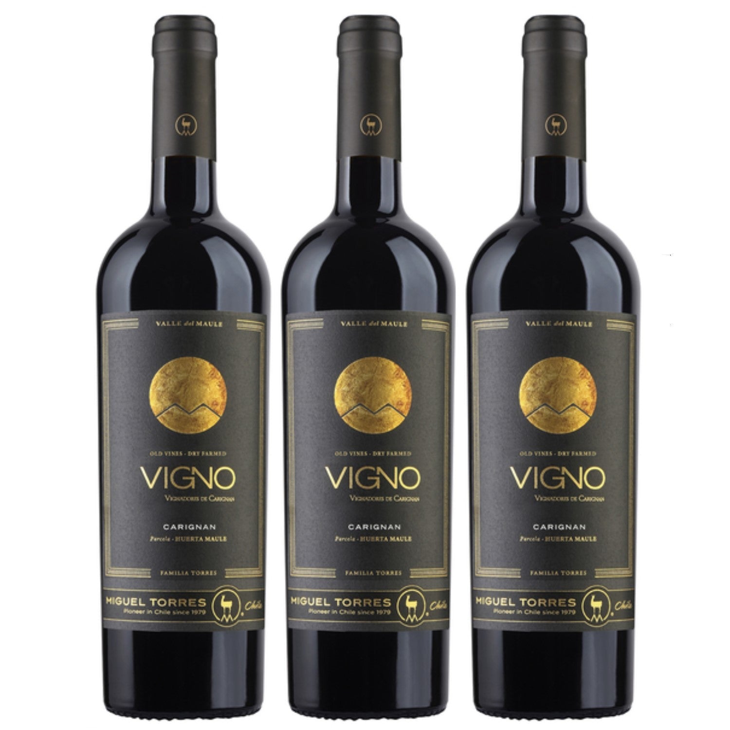 Miguel Torres Cordillera Carignan Maule Valley Rotwein Wein Trocken Chile (3 x 0.75l) - Versanel -