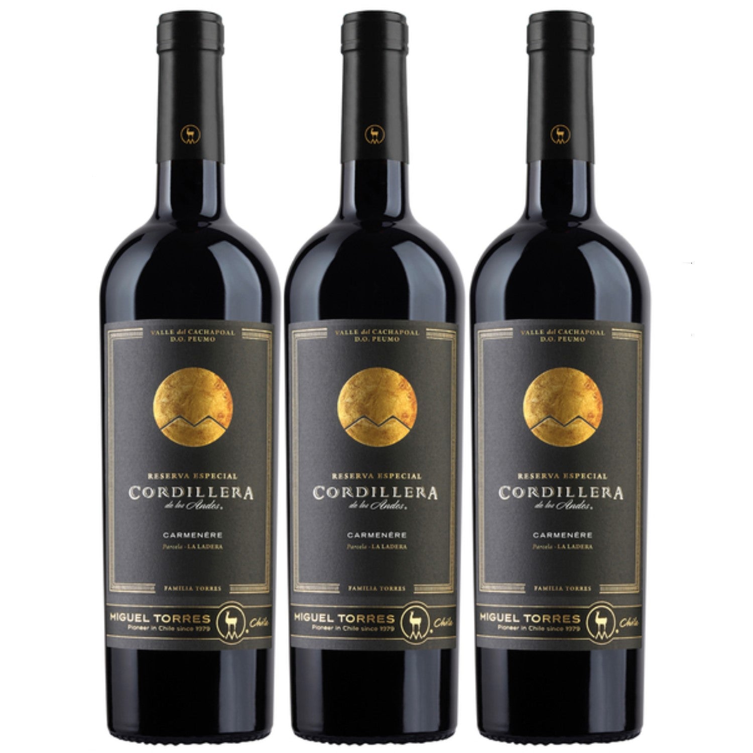 Miguel Torres Cordillera Carmenère Cachapoal Valley Rotwein Wein Trocken Chile (3 x 0.75l) - Versanel -