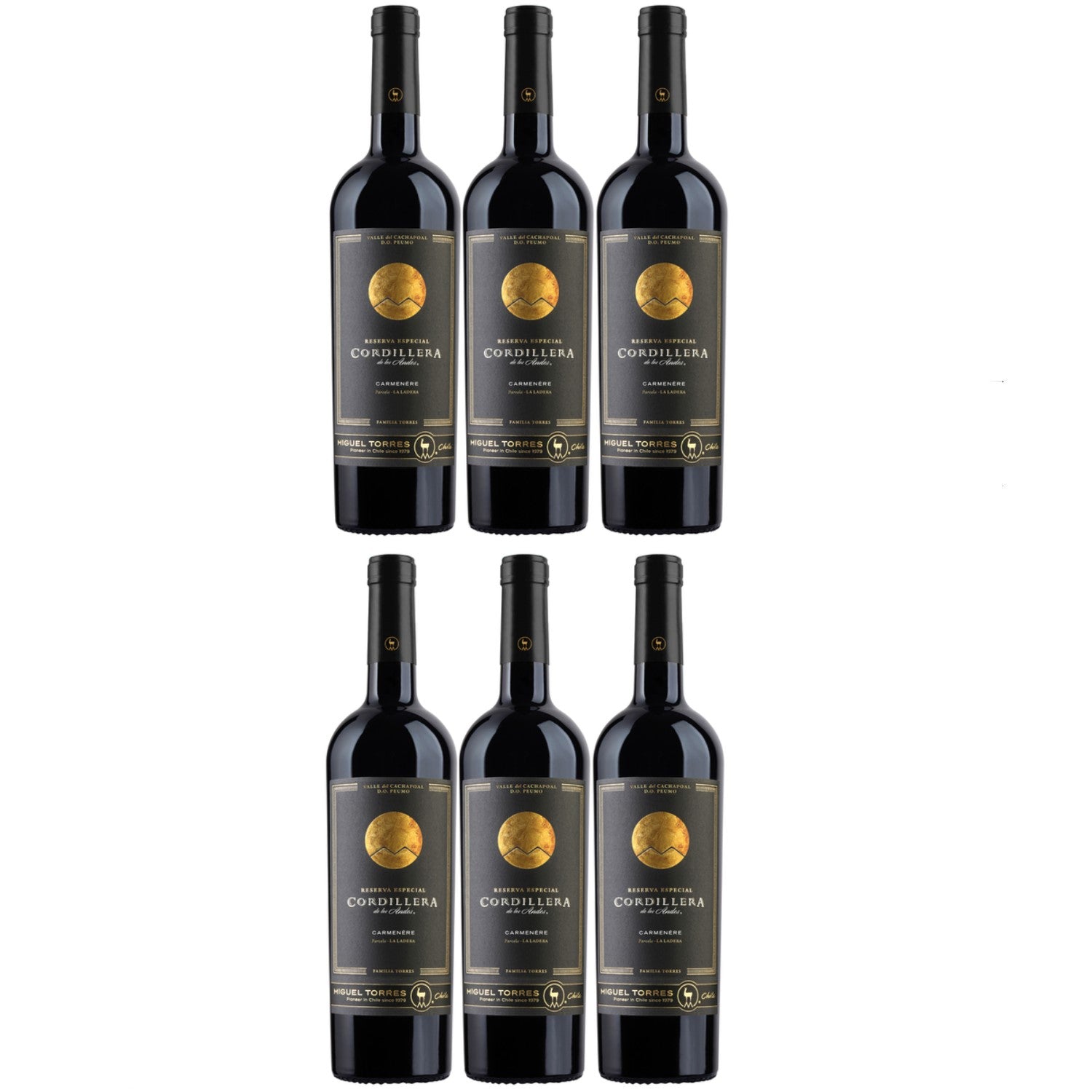 Miguel Torres Cordillera Carmenère Cachapoal Valley Rotwein Wein Trocken Chile (6 x 0.75l) - Versanel -