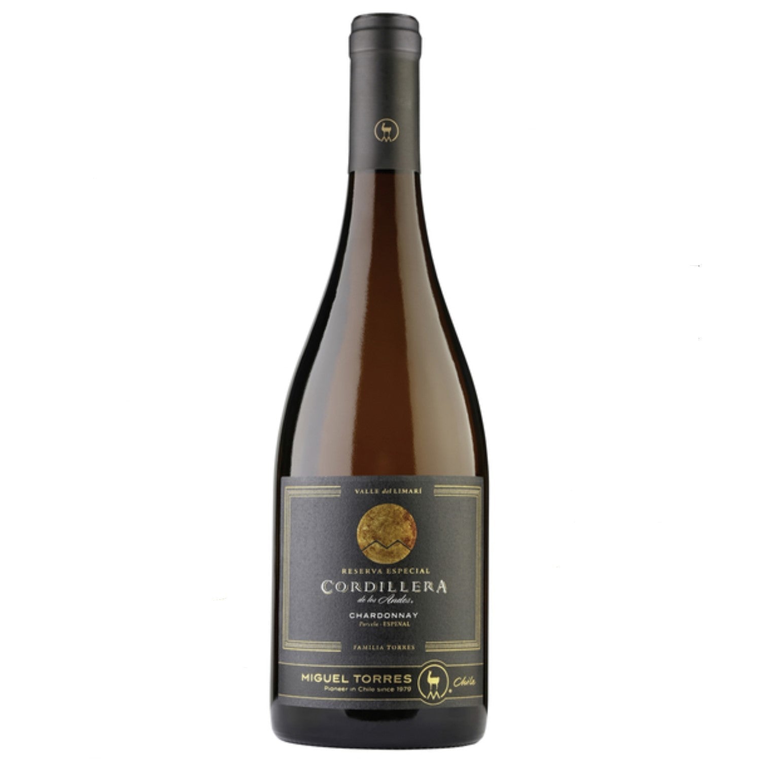 Miguel Torres Cordillera Chardonnay Limari Valley Weißwein Wein Trocken Chile (3 x 0.75l) - Versanel -