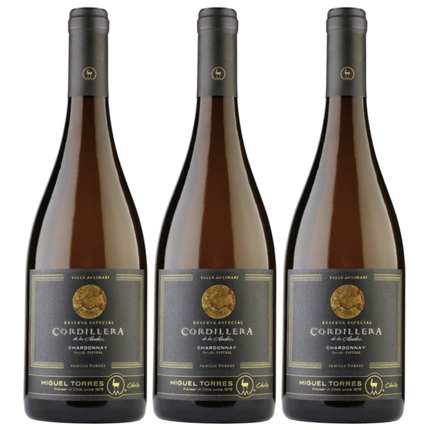 Miguel Torres Cordillera Chardonnay Limari Valley Weißwein Wein Trocken Chile (3 x 0.75l) - Versanel -